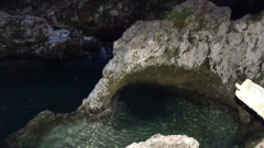 dsc02348a