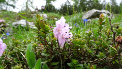 dsc02435a