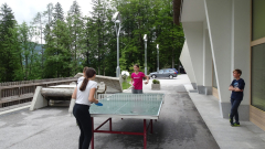 dsc03925a