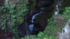DSC06410a