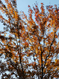 img_20211019_133524