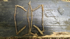 dav