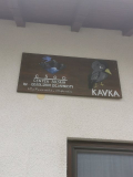image11