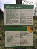 img-dbfeb5925aa0d15de516414d408d4242-v