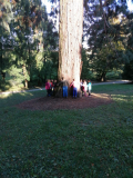 thumbnail_img_20201008_162934