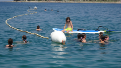 DSC01953a