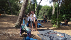 DSC08009a