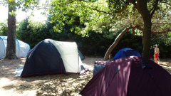 DSC07133a