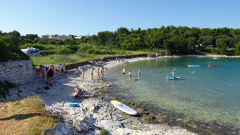 DSC07135a