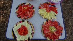 DSC07157a