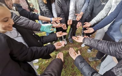 Sodelovanje v mednarodnem projektu Krokus