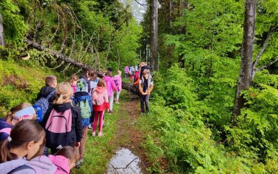 Šola izven šole, 3. razred – 2. dan