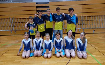 Državno prvenstvo v gimnastiki
