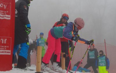 Ekipni področni podprvaki v alpskem smučanju