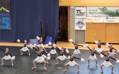 Državno prvenstvo v performance cheeru