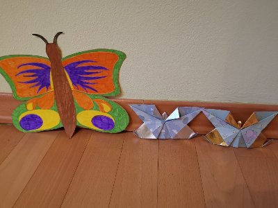 5-b-metulj-upanja