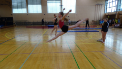 DSC00276a