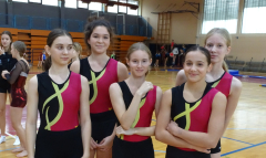 DSC00287-2
