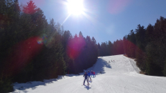DSC00058a