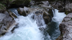 dsc03629a