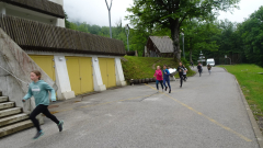 DSC06538a