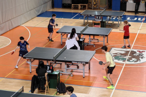 Državno četrtfinale v namiznem tenisu