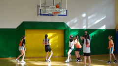 DSC04704a