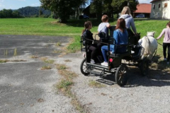 Obisk jeseni na Biotehniški šoli