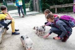 Obisk ZOO Ljubljana