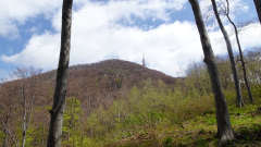 DSC05436a