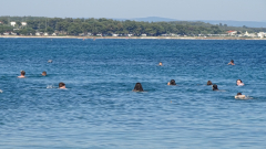 DSC07855a