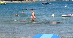 DSC07857-2a