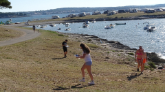 DSC07893q