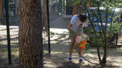 DSC07895a