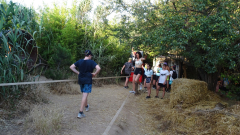 DSC02104a