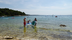 DSC07244a