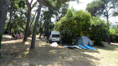 DSC07264a