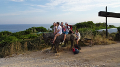 DSC07307a