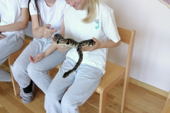 IMG_20250513_123734